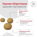 Royal Canin (Роял Канин) Glycobalance (Глюкобаланс) Small Dog - Сухой лечебный корм при сахарном диабете у собак мелких пород