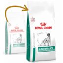 Royal Canin (Роял Канин) Glycobalance (Глюкобаланс) Dog - Сухой лечебный корм при сахарном диабете у собак