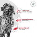 Royal Canin (Роял Канин) Glycobalance (Глюкобаланс) Dog - Сухой лечебный корм при сахарном диабете у собак