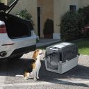 Stefanplast (Стефанпласт) Переноска для собак и котов Gulliver IATA 4 для авиапутешествий