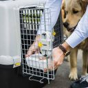 Stefanplast (Стефанпласт) Gulliver Touring IATA - Переноска для авиапутешествий