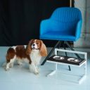 Harley & Cho (Харли энд Чо) Brown Lift Wood + White миски на подставке c регулируемой высотой для собак