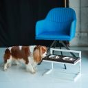 Harley & Cho (Харли энд Чо) Brown Lift Wood + White миски на подставке c регулируемой высотой для собак