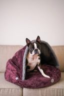 Harley & Cho (Харли энд Чо) Cover Plush Cherry лежак-норка для собак и кошек (вишнёвый)