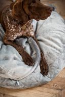 Harley & Cho (Харли энд Чо) Cover Plush Gray лежак-норка для собак и кошек (серый)