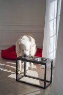 Harley & Cho (Харли энд Чо) Dinner Brown wood + Black миски на подставке для собак