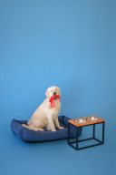 Harley & Cho (Харли энд Чо) Dinner Natural wood + Black миски на подставке для собак