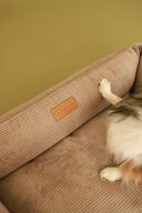 Harley & Cho (Харли энд Чо) Dreamer Cacao Velvet лежак для кошек и собак (бежевый)