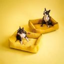 Harley & Cho (Харли энд Чо) Dreamer Yellow Velvet лежак для кошек и собак (желтый)