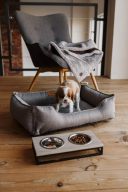 Harley & Cho (Харли энд Чо) Dreamer Gray лежак для собак и кошек (серый)