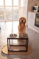 Harley & Cho (Харли энд Чо) Коврик под миски (бежевый)