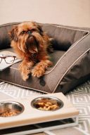 Harley & Cho (Харли энд Чо) Lunch Bar Natural wood + White Миска двойная на подставке для кошек и собак