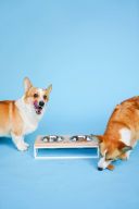 Harley & Cho (Харли энд Чо) Lunch Bar Natural wood + White Миска двойная на подставке для кошек и собак