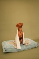 Harley & Cho (Харли энд Чо) Huggy Cacao плед для кошек и собак (бежевый)