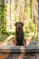 Harley & Cho (Харли энд Чо) Lounger Khaki Waterproof двухсторонний лежак-понтон (хаки)