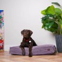 Harley & Cho (Харли энд Чо) Memory Foam Pink подушка для собак (розовый)