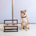 Harley & Cho (Харли энд Чо) Natural Lift Wood + Black миски на подставке c регулируемой высотой для собак