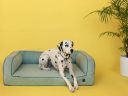 Harley & Cho (Харли энд Чо) Sleeper New Mint диван для собак (мятный)