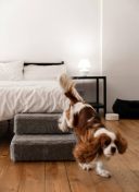 Harley & Cho (Харли энд Чо) Tetris Fur Grey Single ступеньки для собак (серый)