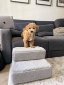 Harley & Cho (Харли энд Чо) Tetris Fur Grey Single ступеньки для собак (серый)