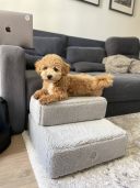 Harley & Cho (Харли энд Чо) Tetris Fur Grey Single ступеньки для собак (серый)