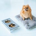 Harley & Cho (Харли энд Чо) Tomas Gray мобильная подушка для собак и кошек (серый)