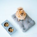 Harley & Cho (Харли энд Чо) Tomas Gray мобильная подушка для собак и кошек (серый)