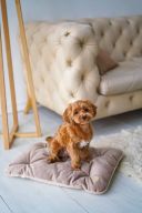 Harley & Cho (Харли энд Чо) Tomas Pudra мобильная подушка для собак и кошек (пудра)