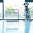 Harley & Cho (Харли энд Чо) White Lift Wood + Black миски на подставке c регулируемой высотой для собак