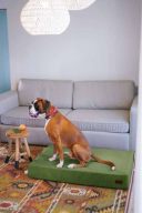 Harley & Cho (Харли энд Чо) Oliver Green Velur ортопедический матрас для собак (зеленый)