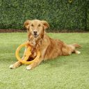 Bionic Toss-N-Tug Игрушка-кольцо для собак