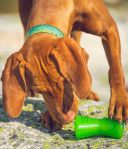 Bionic Bone Игрушка-косточка для лакомств для собак, средняя