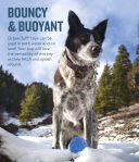 Planet Dog Orbee-Tuff Мяч-земной шар для собак, синий