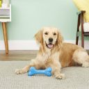 Planet Dog Orbee-Tuff Bone Игрушка Кость с отверстием для лакомств