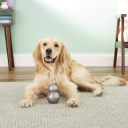 Planet Dog Double-Tuff Игрушка для лакомств для собак