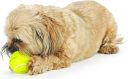 Planet Dog Orbee-Tuff Tennis Ball Теннисный мяч для собак