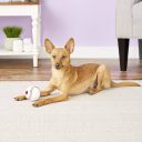 Planet Dog Orbee-Tuff Бейсбольный мяч для собак