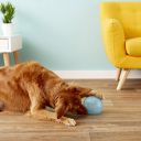 Planet Dog Orbee-Tuff Snoop Игрушка для лакомств для собак