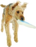 Planet Dog Orbee-Tuff Летающая тарелка для собак