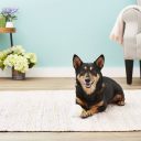 Planet Dog Orbee-Tuff Strobe Ball Светящийся мяч для собак