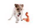 West Paw (Вест Пау) Tizzi Dog Toy - Игрушка Тиззи для лакомств для собак, L (18 см)