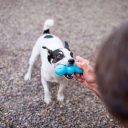 West Paw (Вест Пау) Rumpus - Игрушка Румпус для собак, S (13 см)