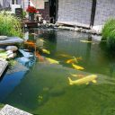 JBL (ДжиБиЭль) ProPond All Seasons S - Всесезонный корм для небольших прудовых рыб в форме палочек 5,8 кг