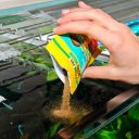 JBL (ДжиБиЭль) ProNovo Neon Grano XXS -  Аквариумный корм в виде гранул для неонов и мелких харациновых рыб, 1–3 см, размер XXS