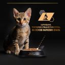 Purina Pro Plan (Пурина Про План) Kitten Healthy Start Turkey влажный корм для котят (индейка)