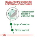 Royal Canin (Роял Канин) Mini Ageing 12+ – Консервированный корм для взрослых собак малых пород старше 12 лет