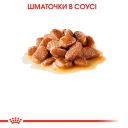 Royal Canin (Роял Канин) Mini Ageing 12+ – Консервированный корм для взрослых собак малых пород старше 12 лет
