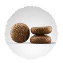 Josera (Йозера) Active Nature Fleisch &Reis - Корм для взрослых собак