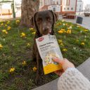 Trixie (Трикси) Cheese Triangles - Лакомства для собак сырные треугольники с фруктами и овощами
