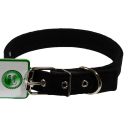 Lucky Pet (Лаки Пет) Ошейник брезентовый двойной с кожей, 2,5 х 31-40 см